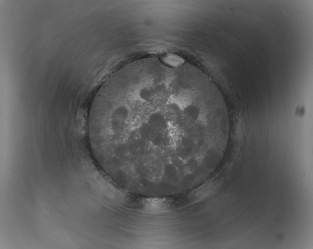 X0000111170273200907151307