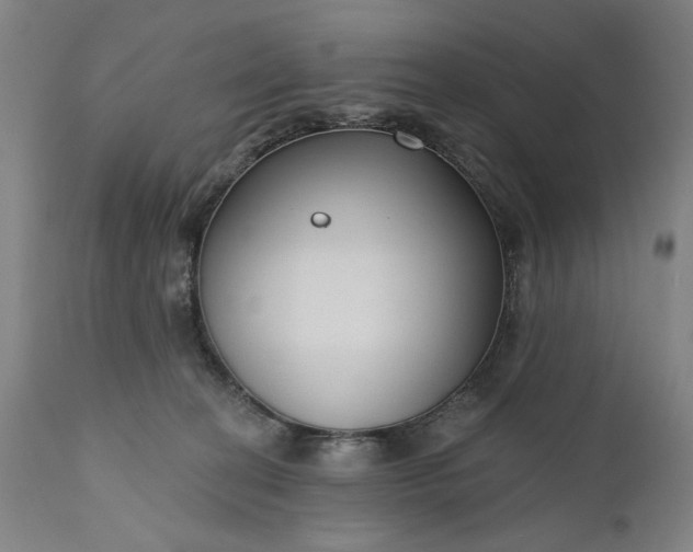 X0000111170274200907151307