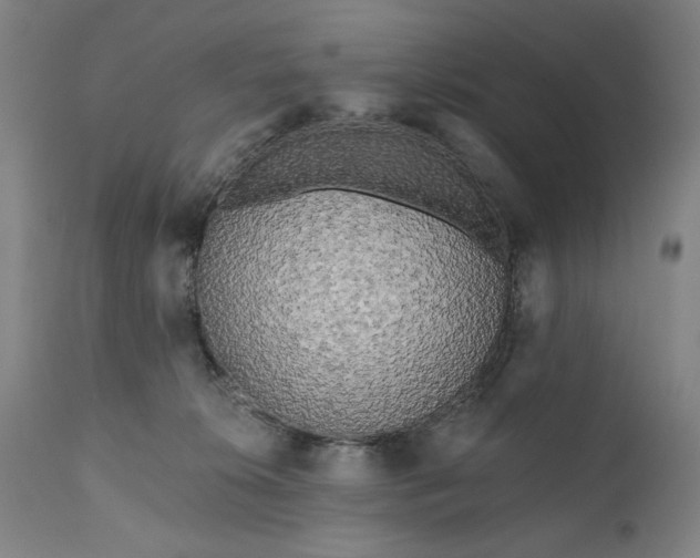 X0000111170276200907151307