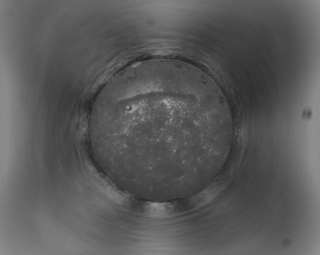 X0000111170277200907151307