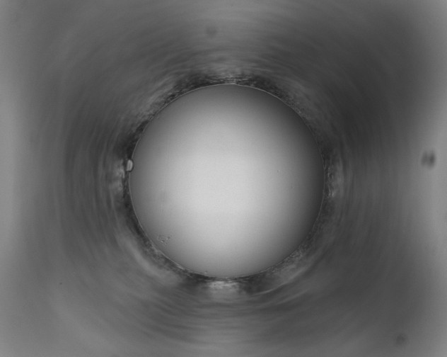 X0000111170279200907151307