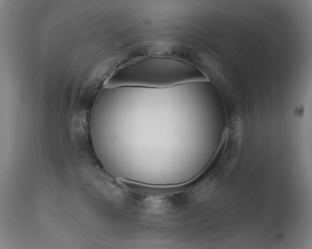 X0000111170280200907151307