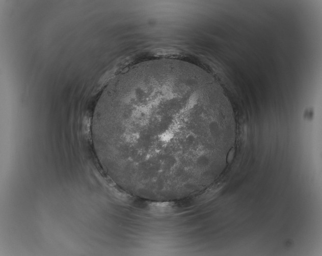 X0000111170281200907151307