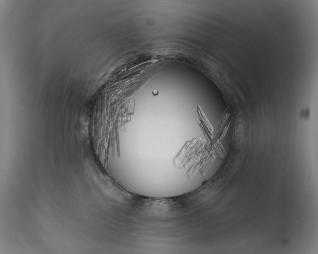 X0000111170282200907151307