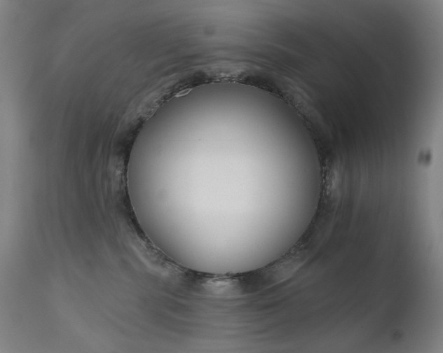 X0000111170283200907151307