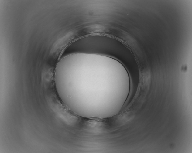 X0000111170284200907151307