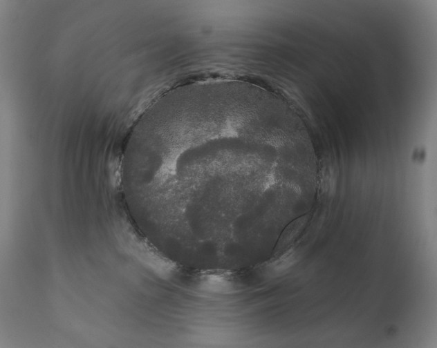 X0000111170285200907151307