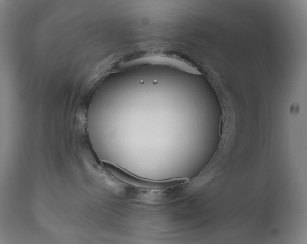 X0000111170288200907151307