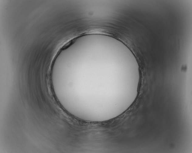 X0000111170289200907151306