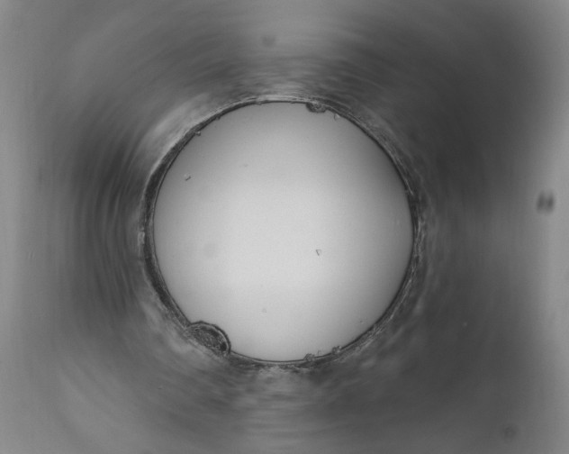 X0000111170290200907151306