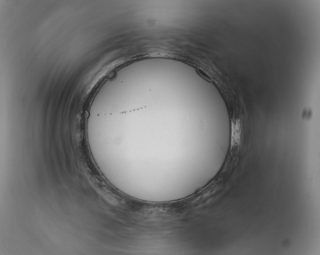 X0000111170291200907151306