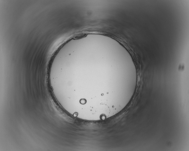 X0000111170293200907151306