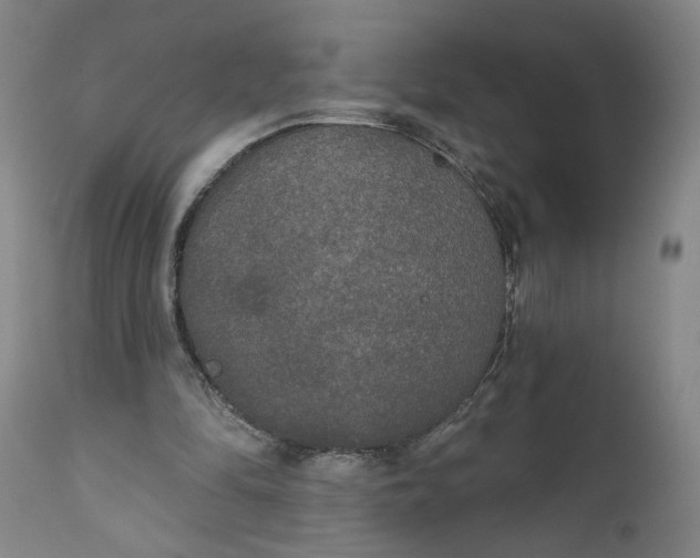 X0000111170294200907151306