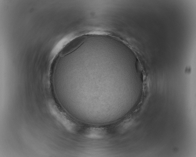 X0000111170296200907151306