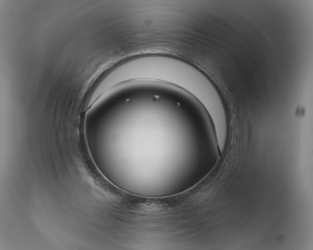 X0000111170300200907151306