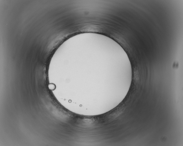 X0000111170302200907151306