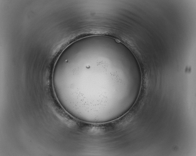 X0000111170303200907151306