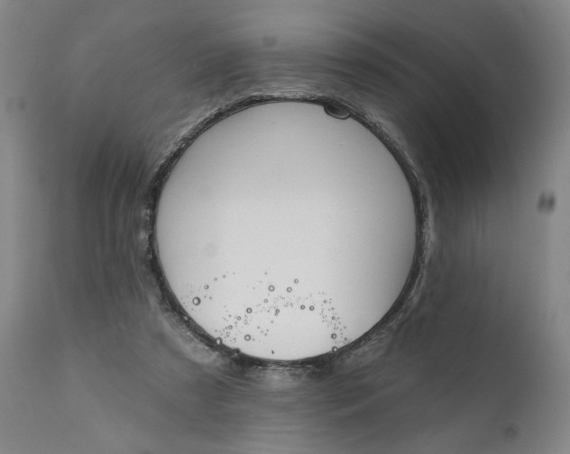 X0000111170305200907151306