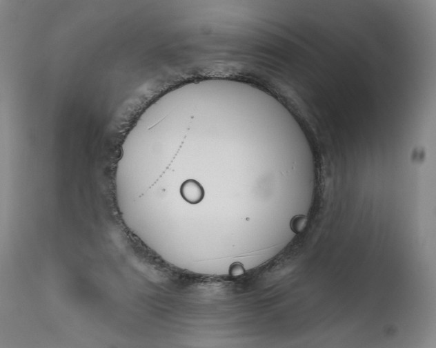 X0000111170307200907151306