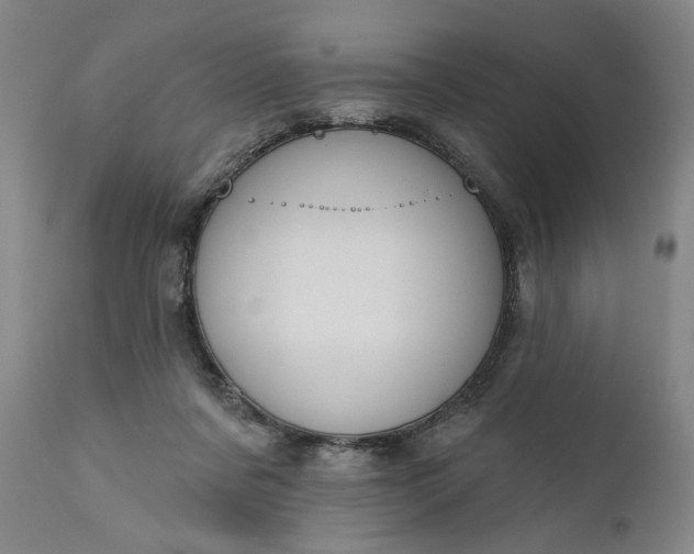 X0000111170311200907151306