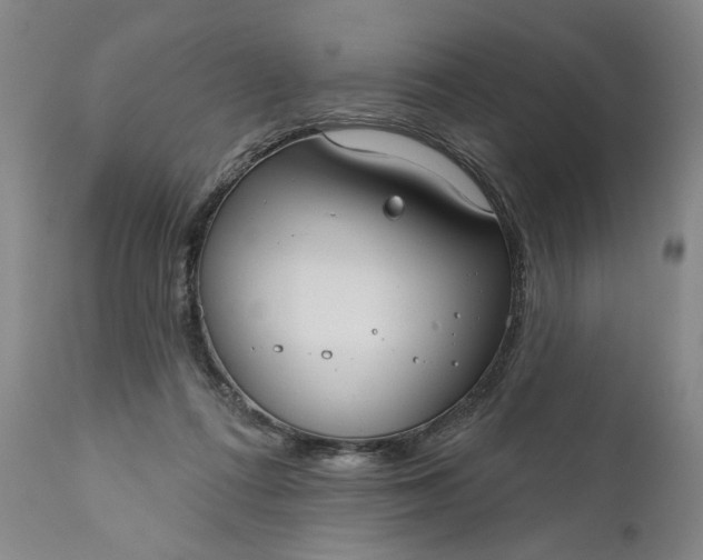 X0000111170312200907151306