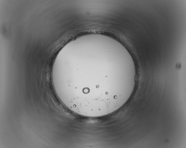 X0000111170313200907151306