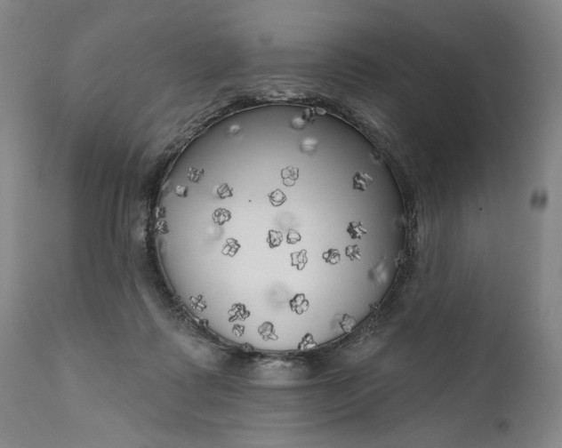 X0000111170315200907151306