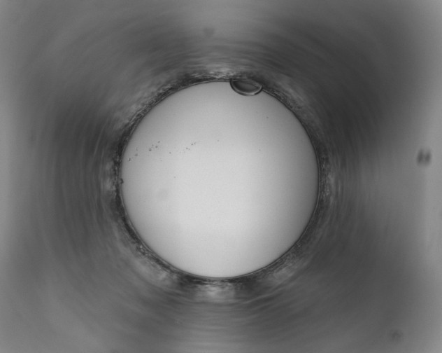 X0000111170317200907151305