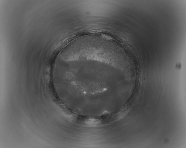 X0000111170319200907151305