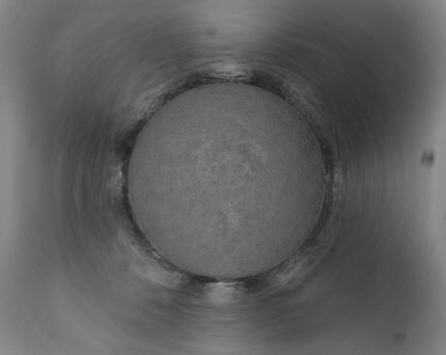 X0000111170320200907151305