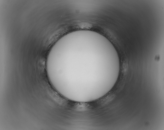 X0000111170321200907151305