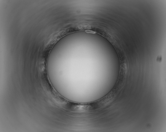 X0000111170323200907151305