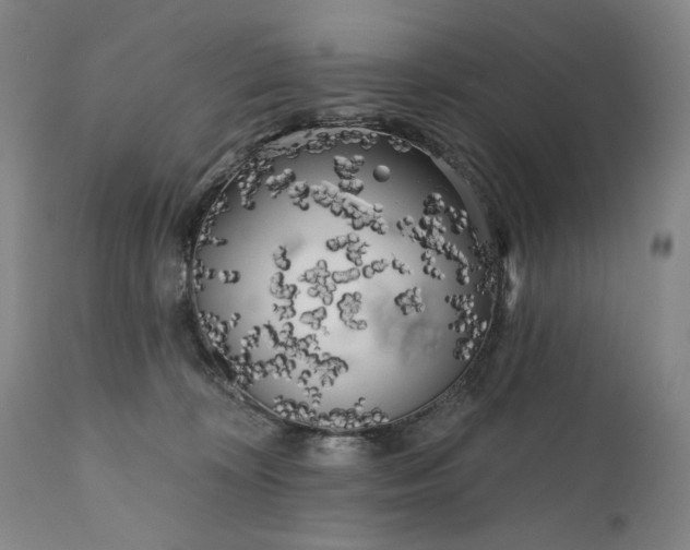 X0000111170324200907151305