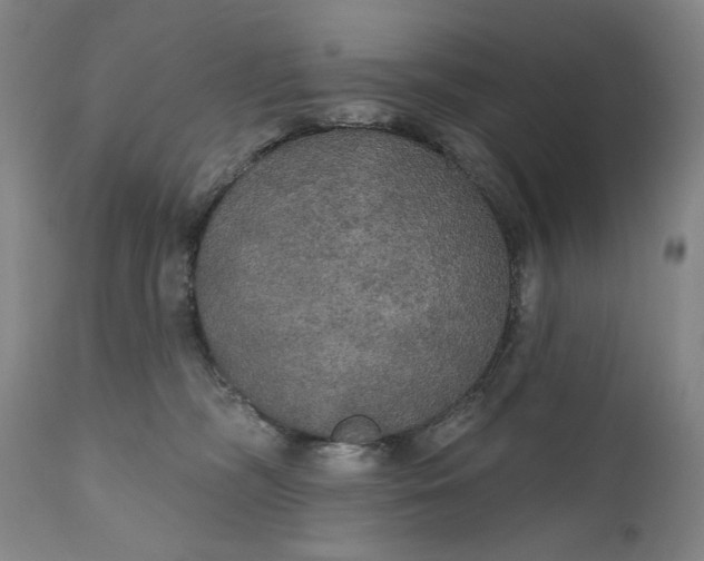 X0000111170326200907151305