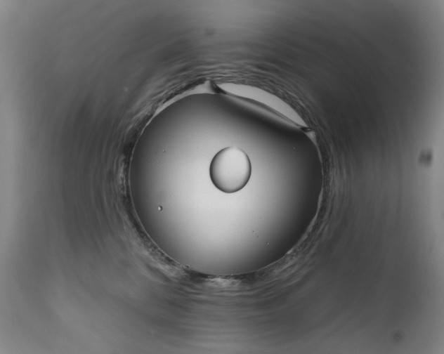 X0000111170328200907151305