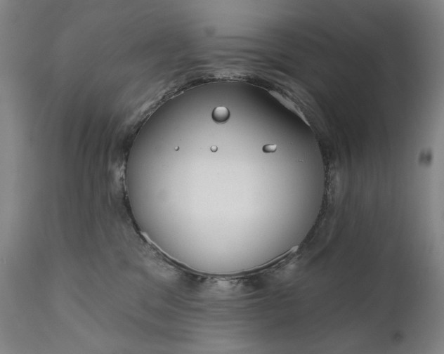 X0000111170329200907151305