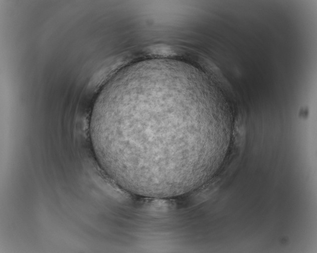 X0000111170330200907151305