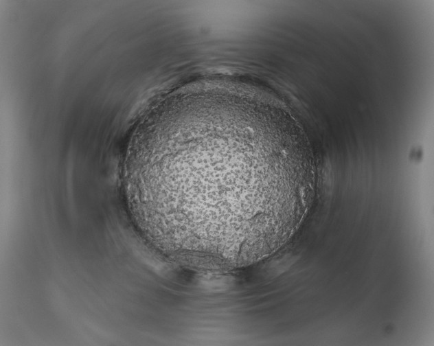 X0000111170331200907151305