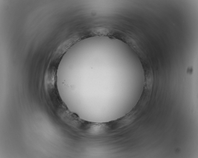 X0000111170334200907151305