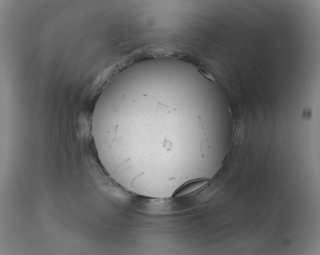 X0000111170335200907151305