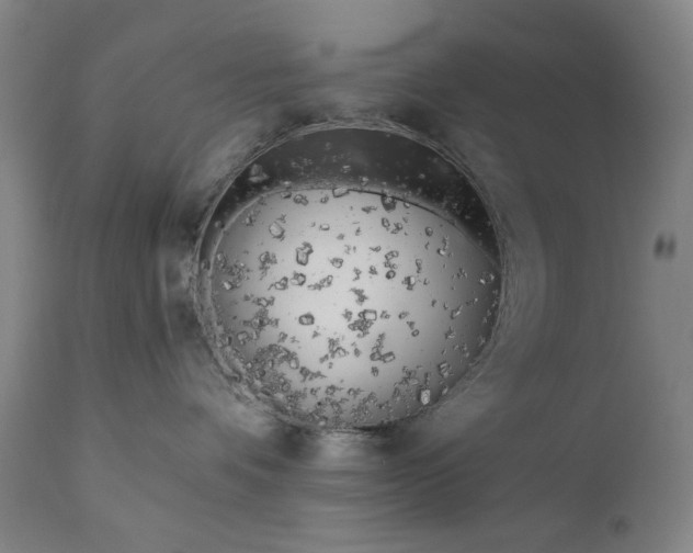 X0000111170336200907151305