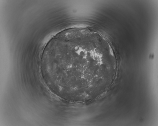 X0000111170337200907151304