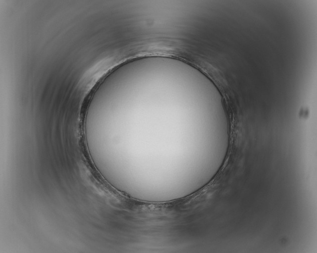 X0000111170338200907151304