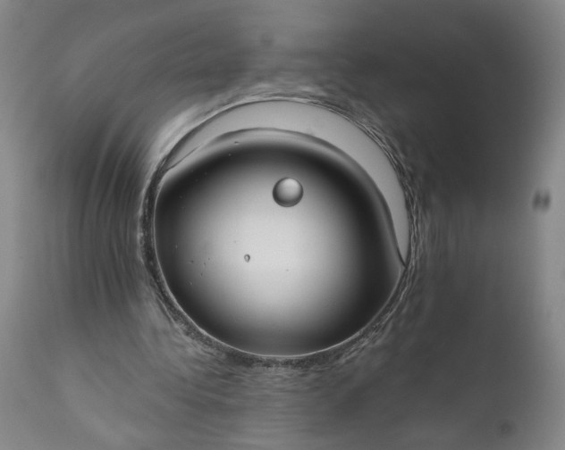 X0000111170340200907151304