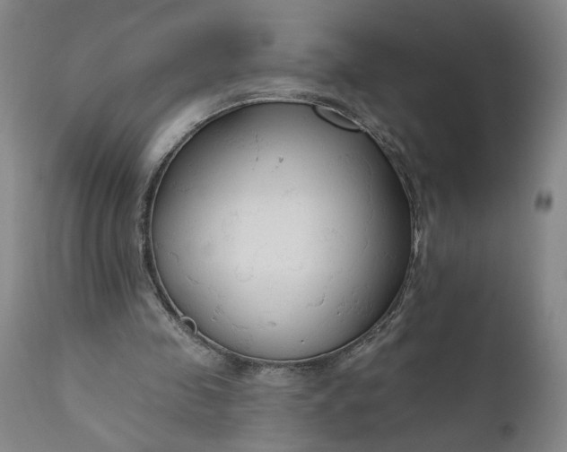 X0000111170341200907151304