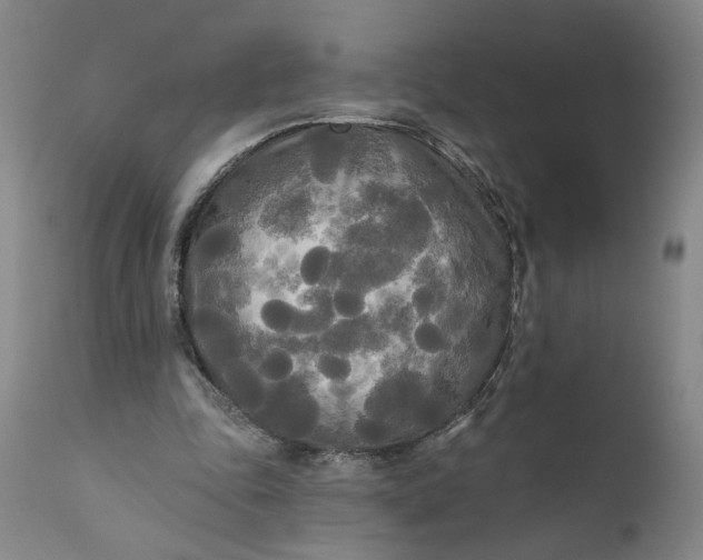 X0000111170343200907151304