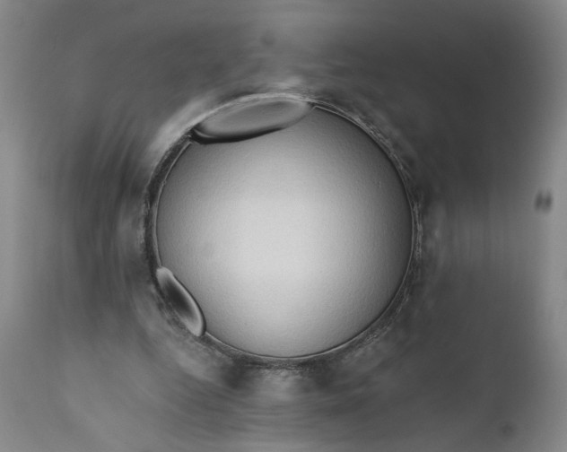 X0000111170344200907151304