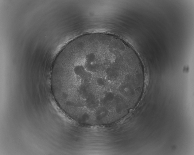 X0000111170345200907151305