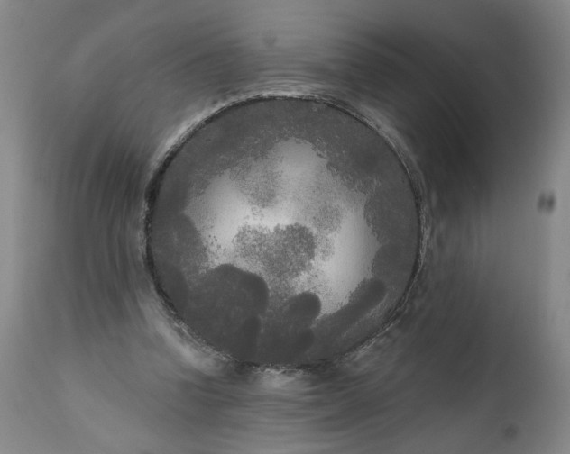 X0000111170346200907151305