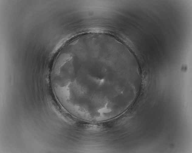 X0000111170347200907151305